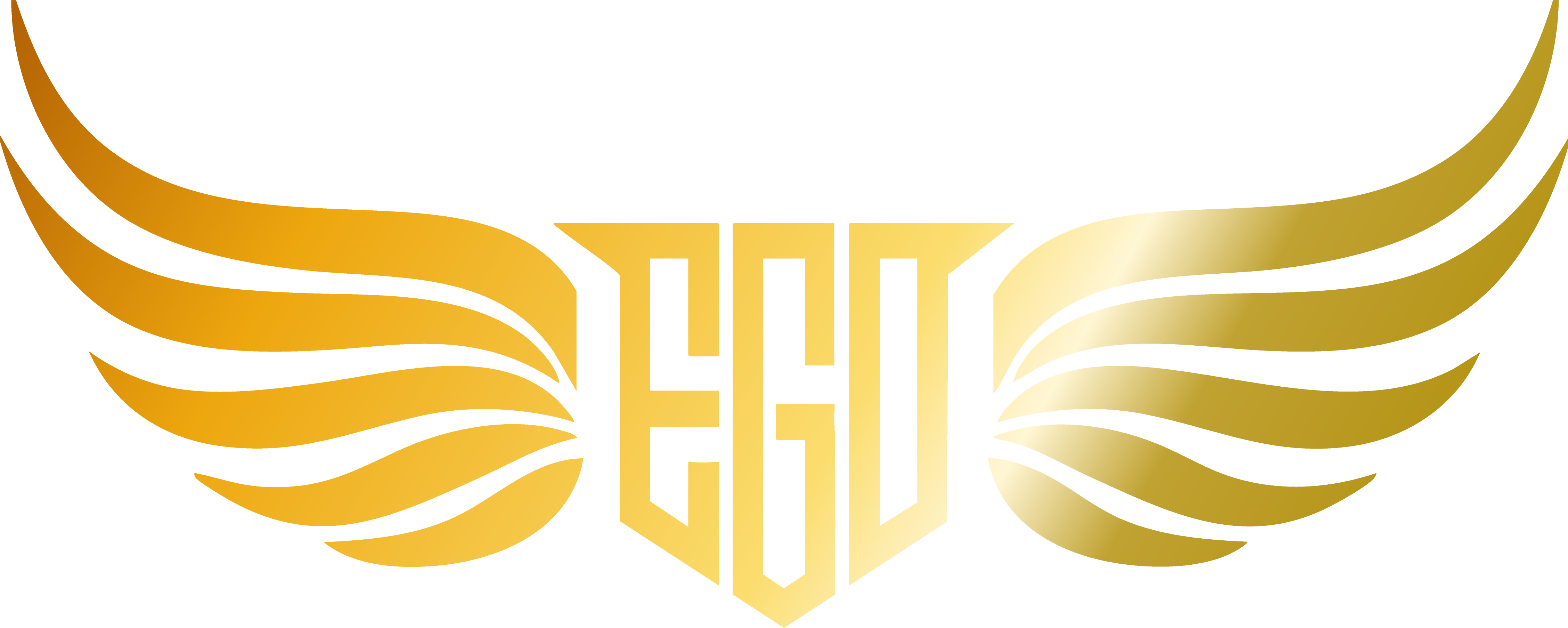 株式会社EGOは、空調設備事業・福祉事業・スポーツ事業を通して、人と地域の心地よい未来をつくります。